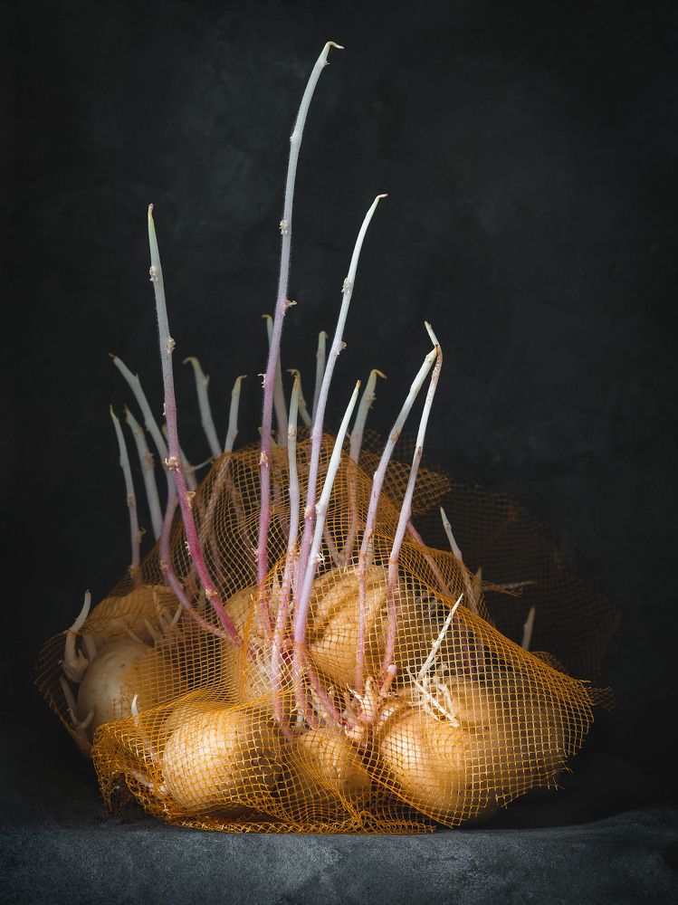 Still life with vegetables