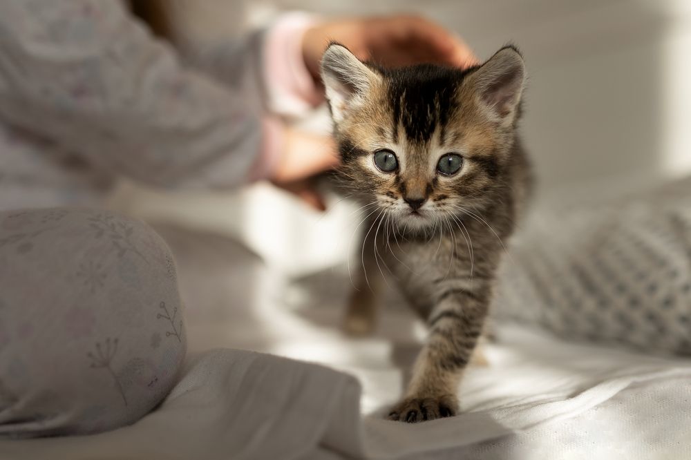 Photograph by Ляйсан Рамазанова