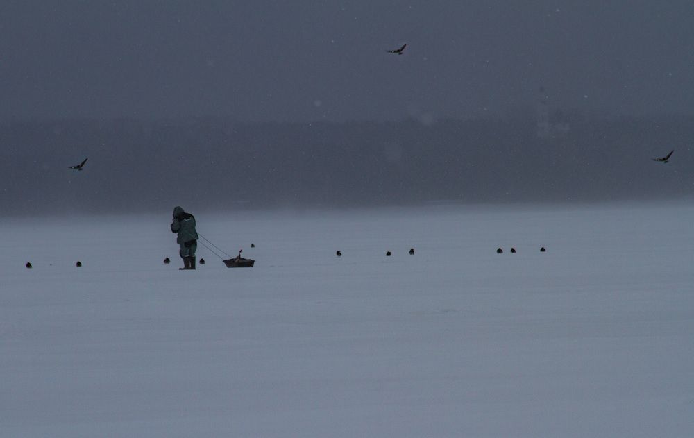 Photograph by Ольга Левакова