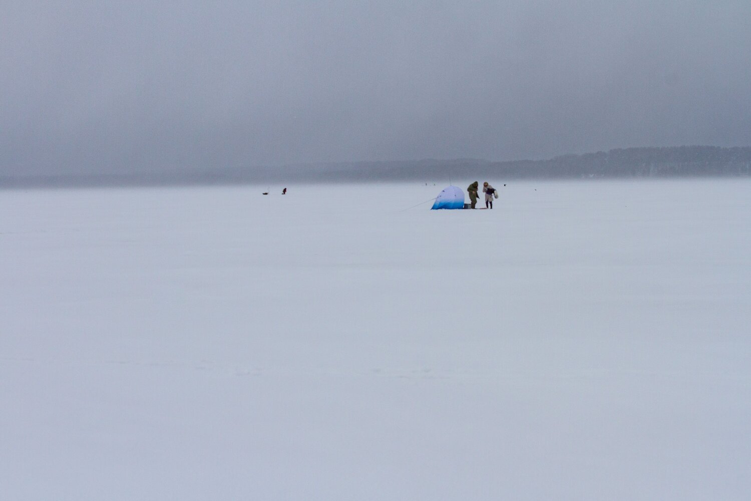 Photo #8741829