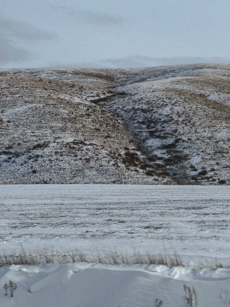 Photograph by Марина Скворцова