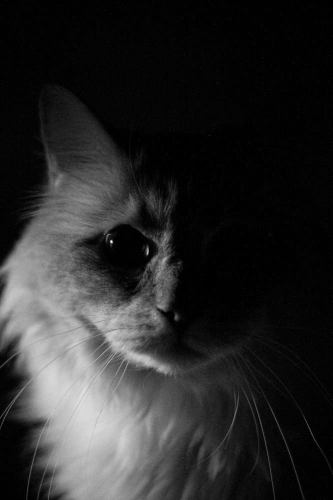 Фотография автора Volha Sidarenka