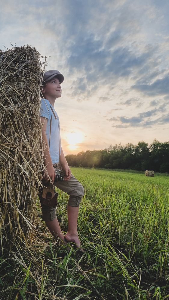 Закат в поле