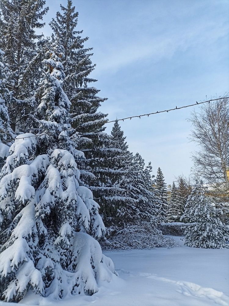 После снегопада