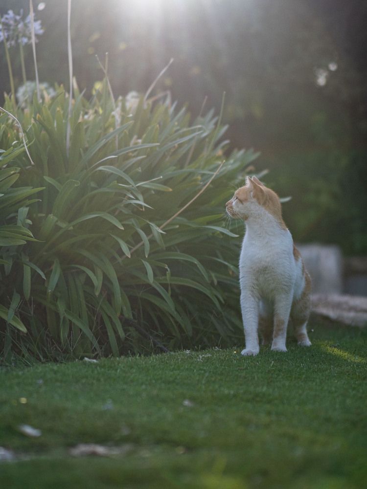 Photograph by Доляна Ашкова