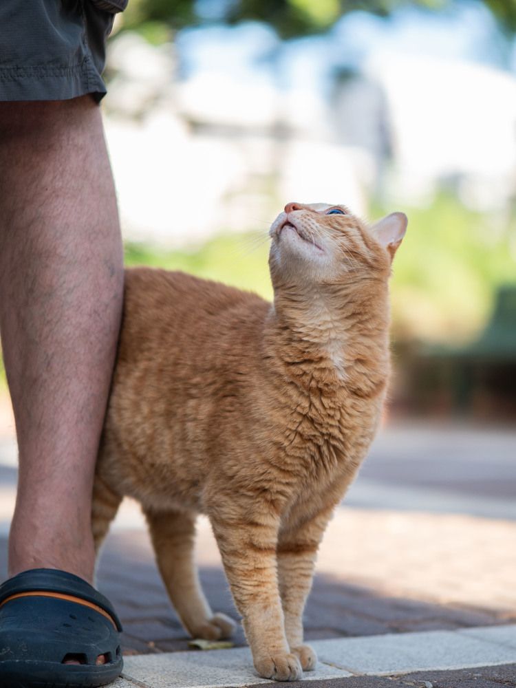 Photograph by Доляна Ашкова