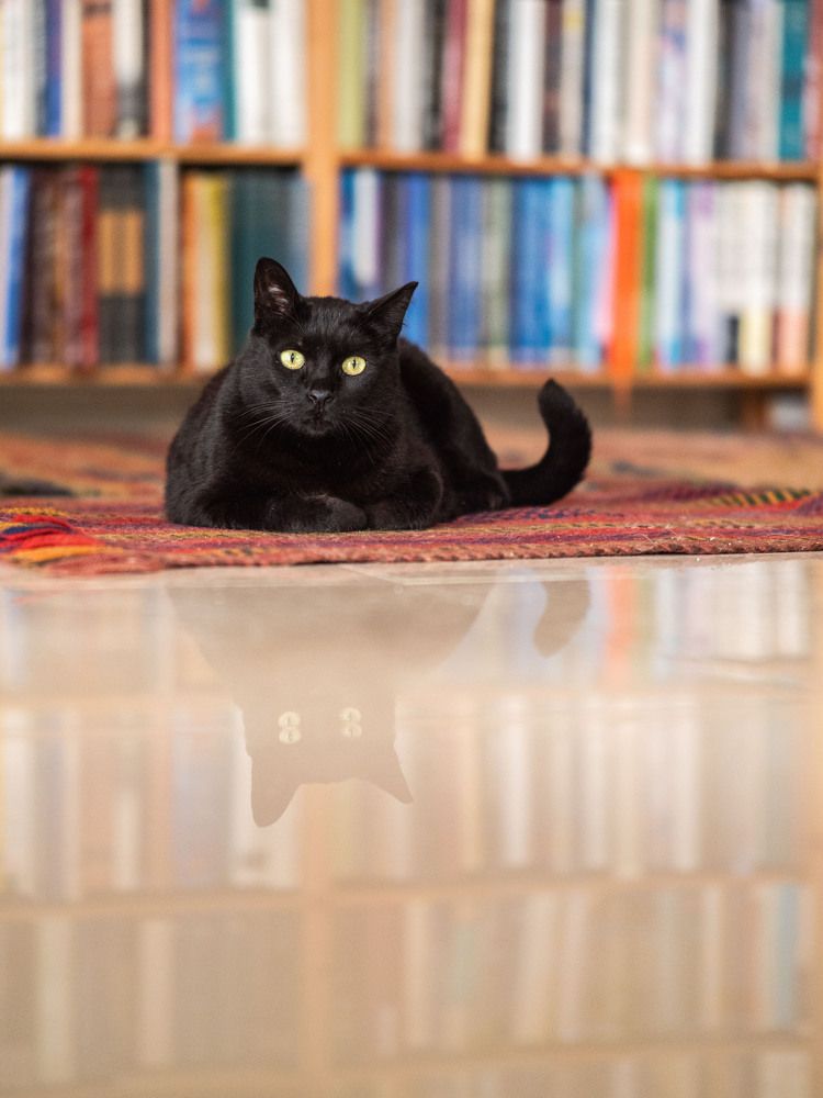 Photograph by Доляна Ашкова