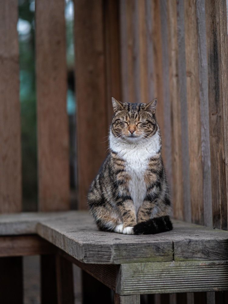 Photograph by Доляна Ашкова