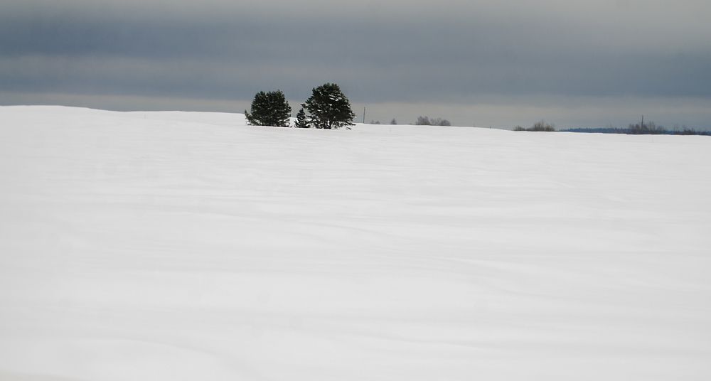 Photograph by Андрей Емельянов