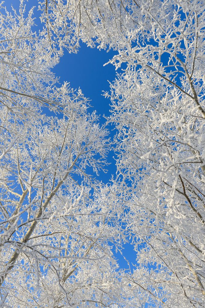 Photograph by Anastasiya Buller