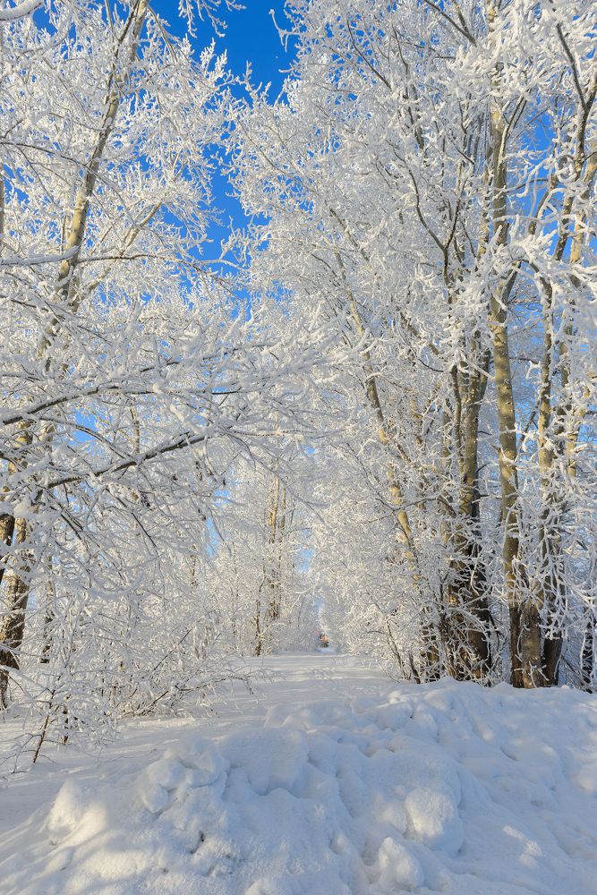 Photograph by Anastasiya Buller