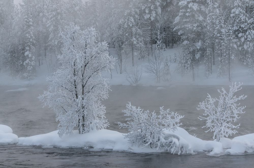 Photograph by Ирина Вершинина