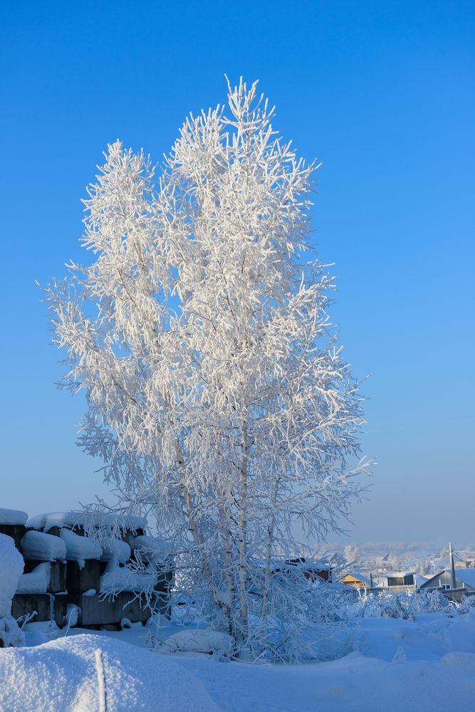 Photograph by Anastasiya Buller