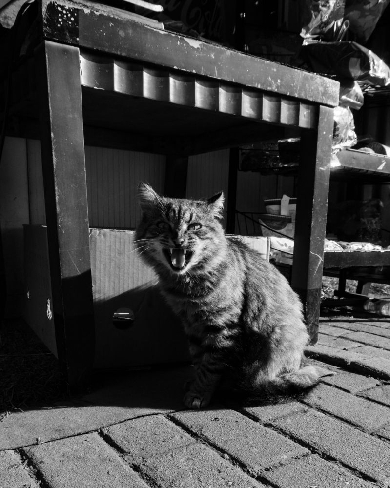 Photograph by Александр Винник