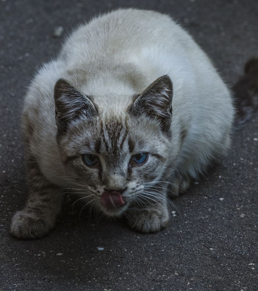 Photograph by Андрей Емельянов