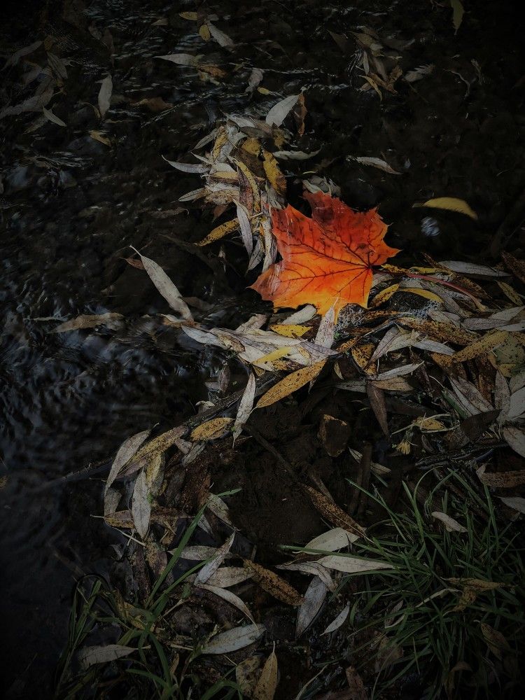 Photograph by Надежда