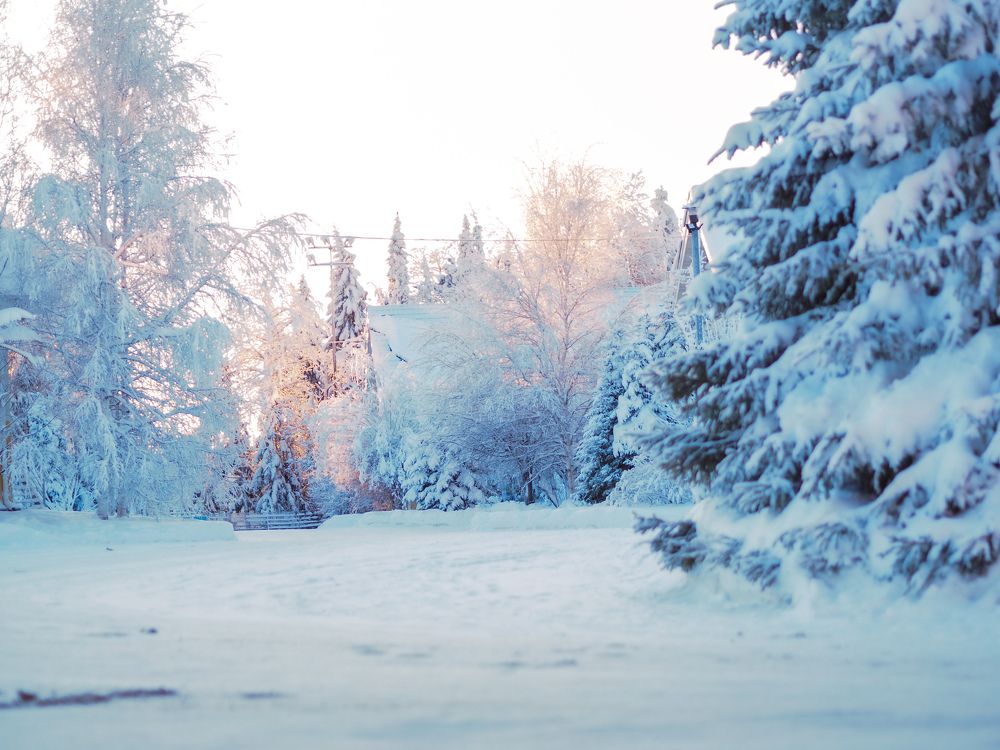 Photograph by Елена Хозяинова