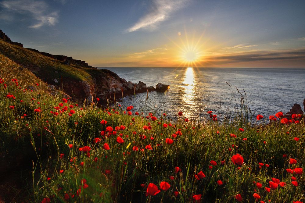 Photograph by Стоян Великов