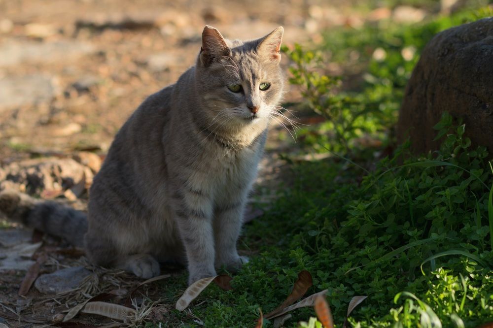 Photograph by Olga Min