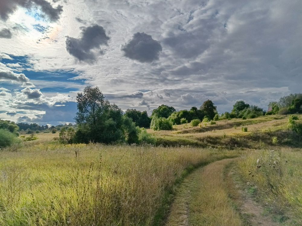 Photograph by Светлана Кондрашова