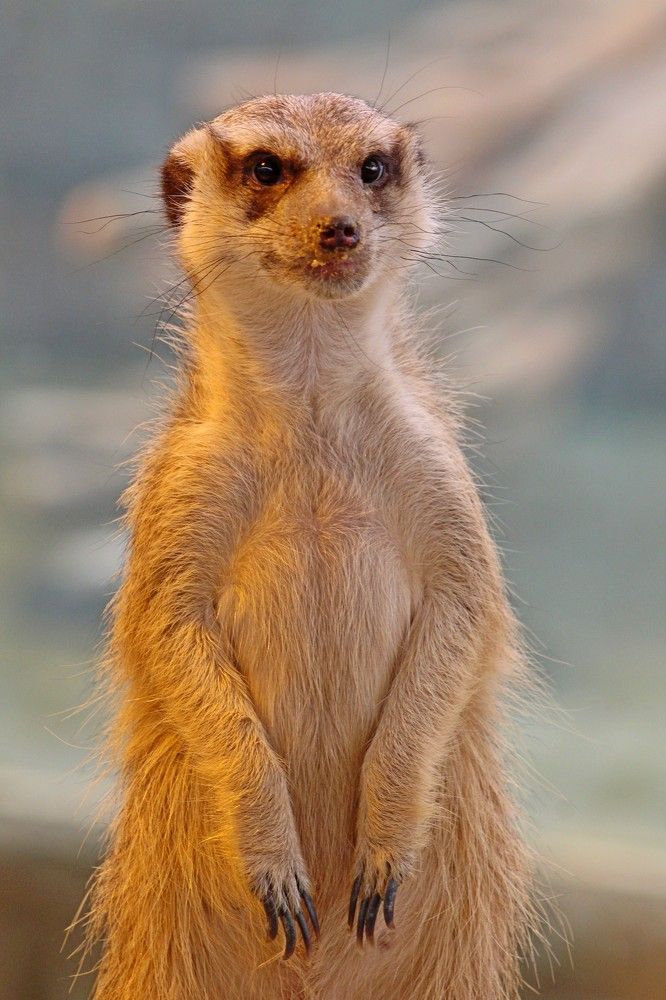 Photograph by Galina Tsmyg