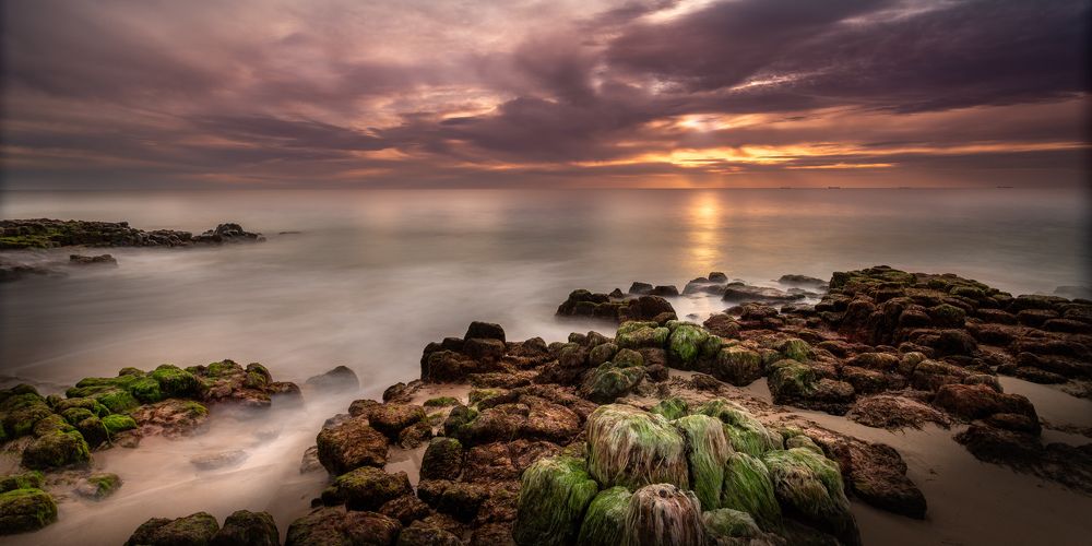 Photograph by Juanita Marchesani