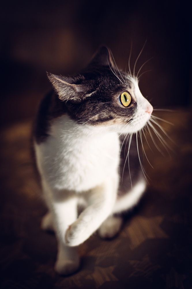 Photograph by Мария Федорова