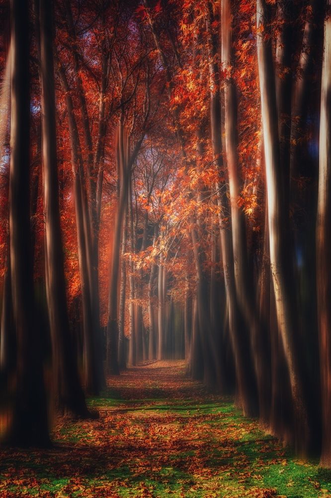 Photograph by Yashar Askari