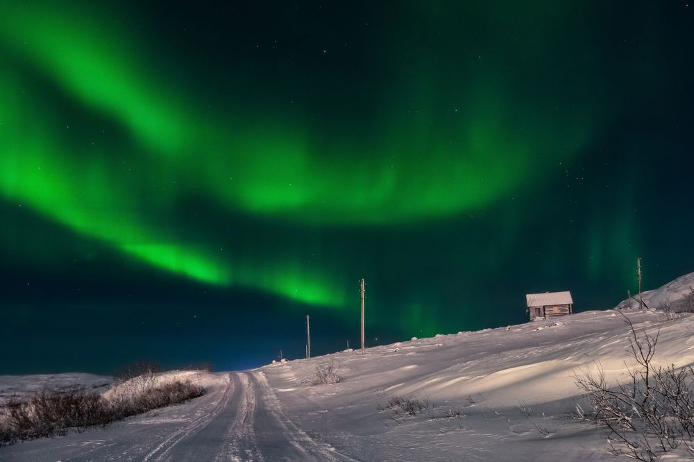 Фотография автора Мика Петров