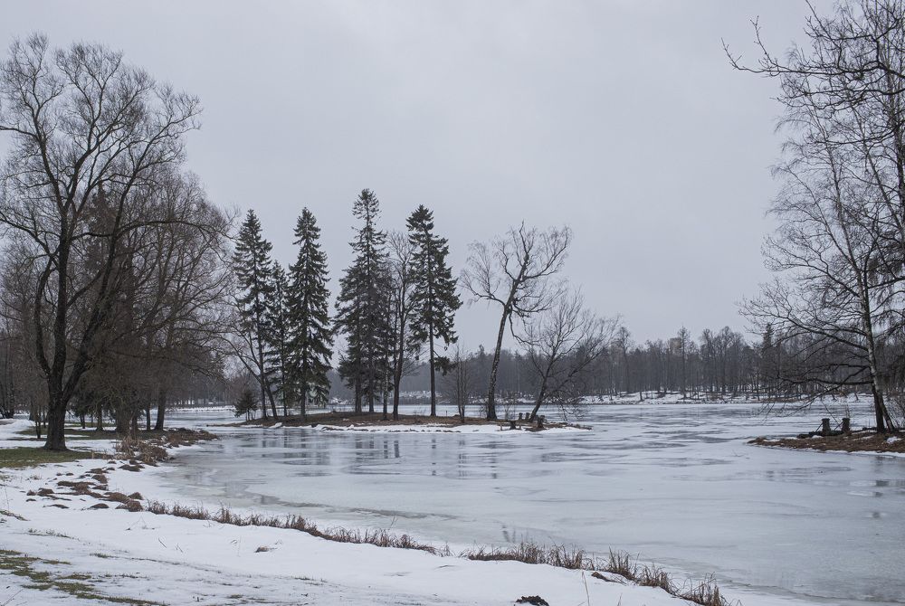 Photograph by Ольга Левакова