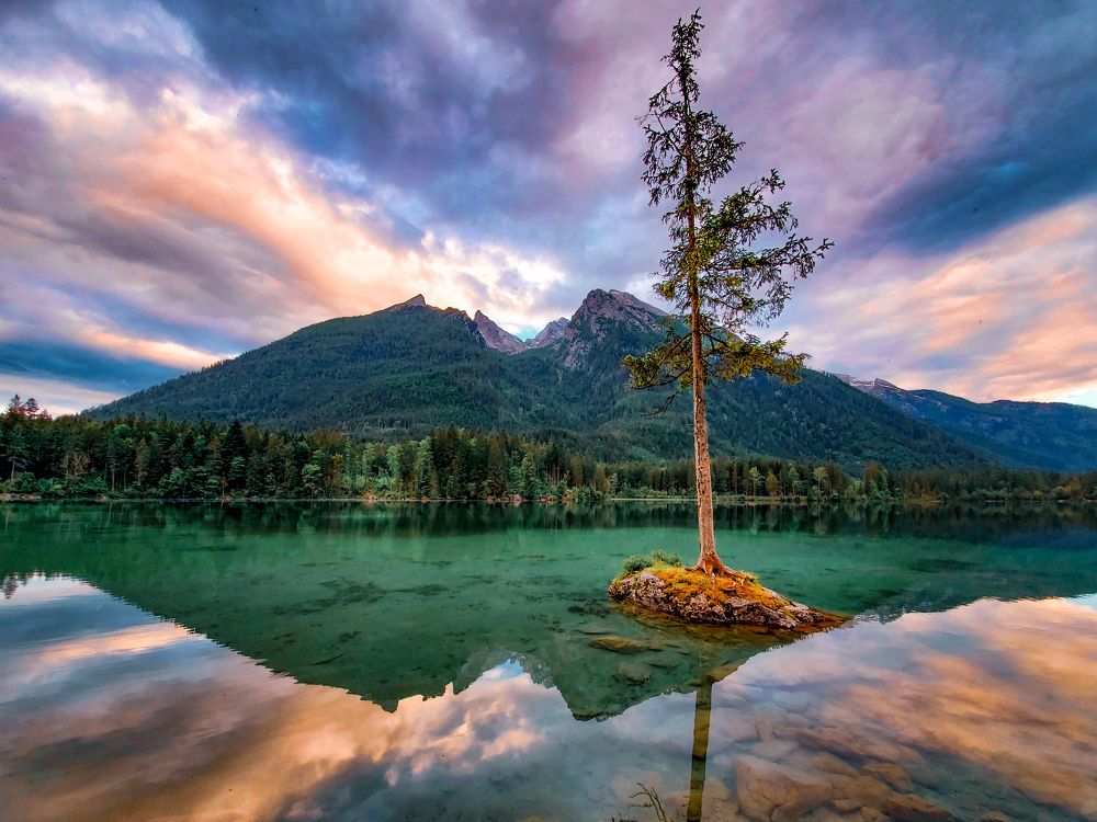 Photograph by delete this