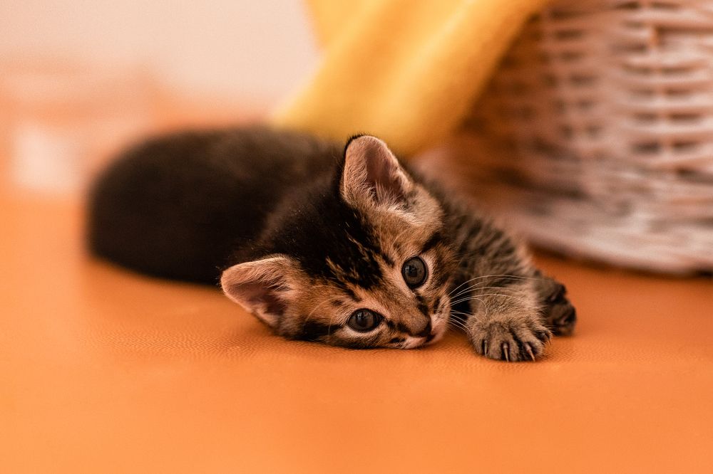 Photograph by Ляйсан Рамазанова