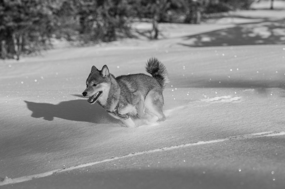 Захожу на вираж