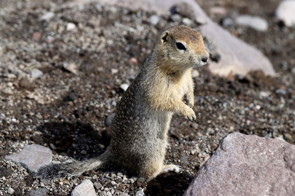 Photograph by Нина Пономаренко