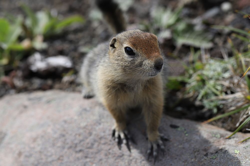 Photograph by Нина Пономаренко