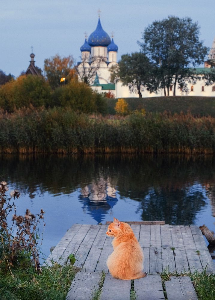 Photograph by Наталья Болотенков