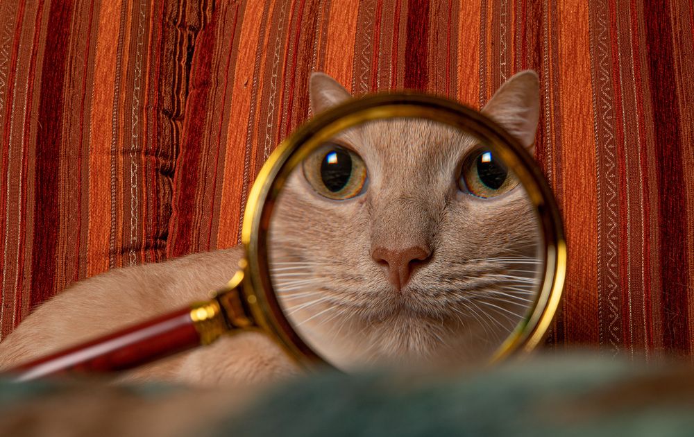 Photograph by Николай Анатольевич