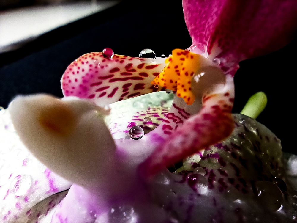 Photograph by Ирина Дегтярева