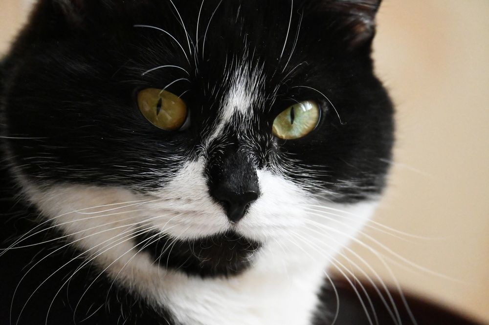 Фотография автора Ola La