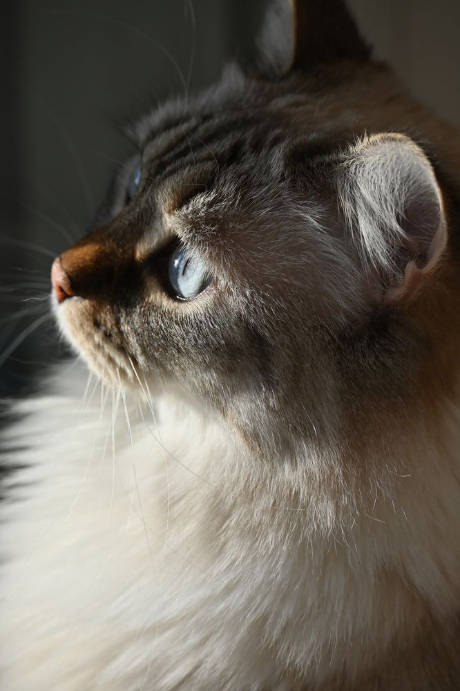 Фотография автора Ola La