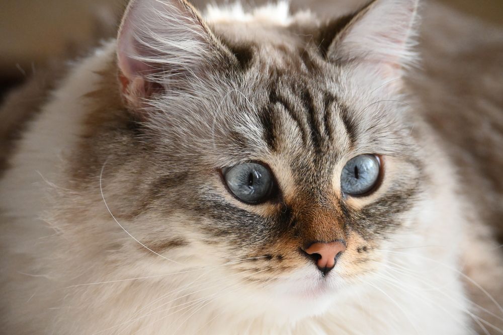 Фотография автора Ola La