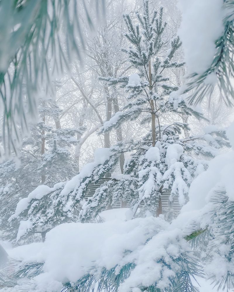 Photograph by Ольга Веретенникова