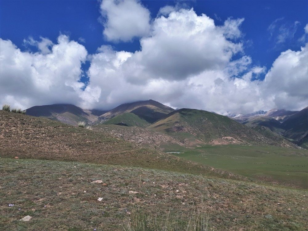 Photograph by Анатолий Каминский