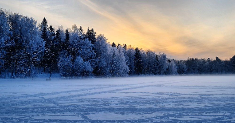 Photograph by Елена Вершинина