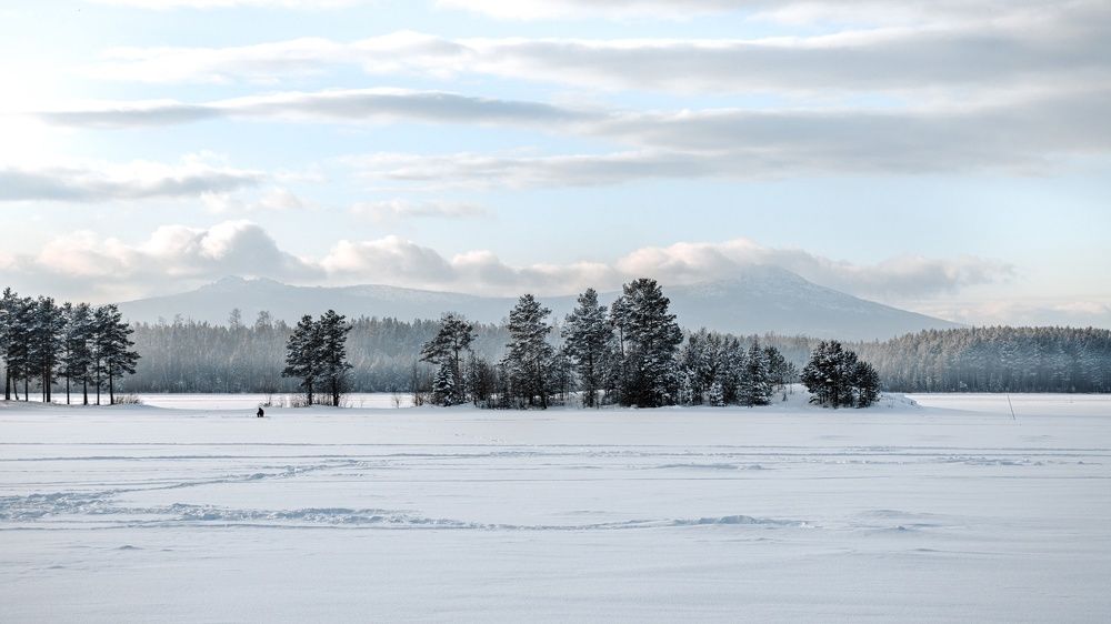 Фотография автора Алексей Крючков