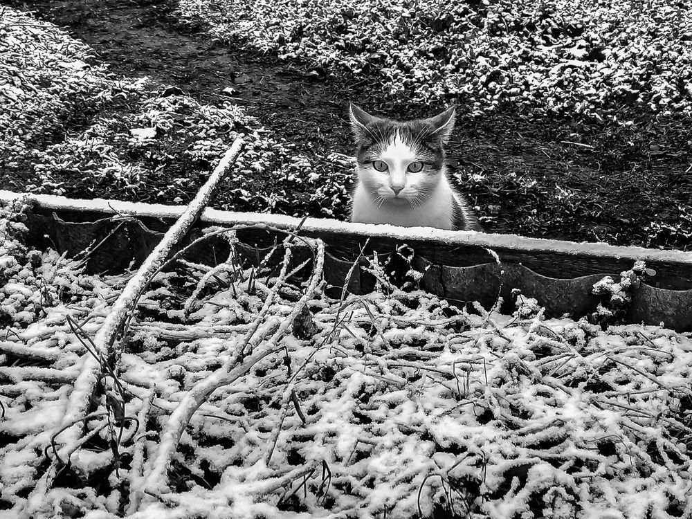 Photograph by Анатолий Мигов