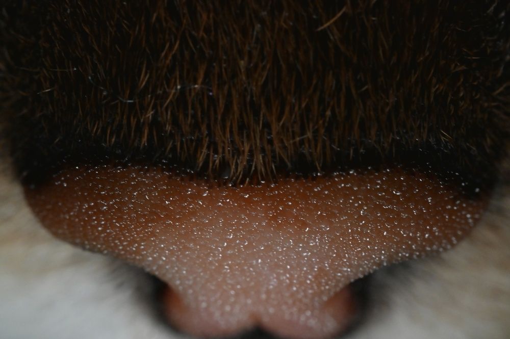 Фотография автора Ola La