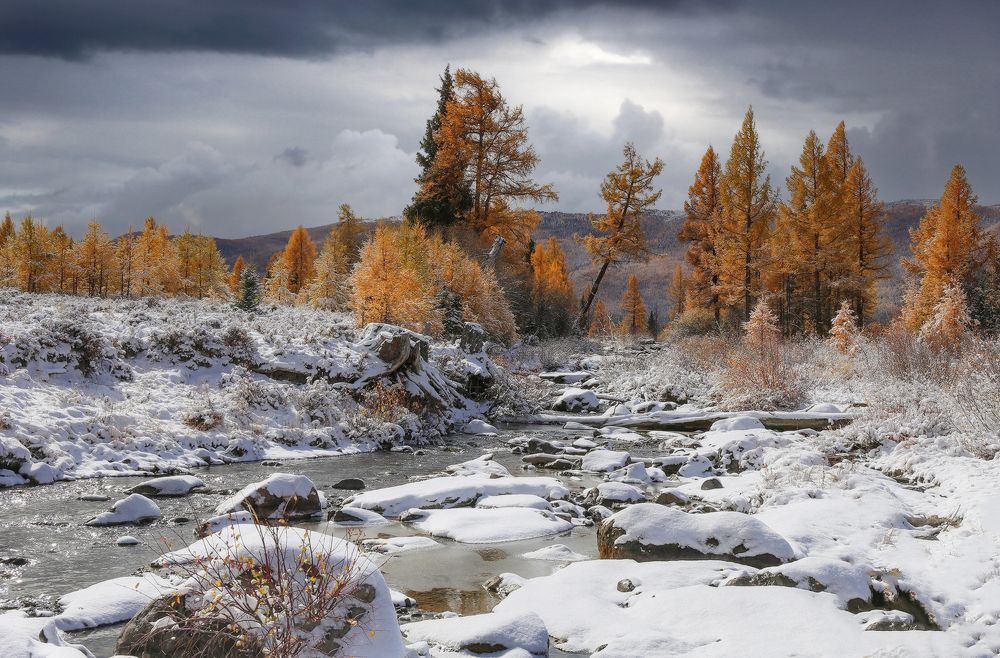 Photograph by Галина Хвостенко
