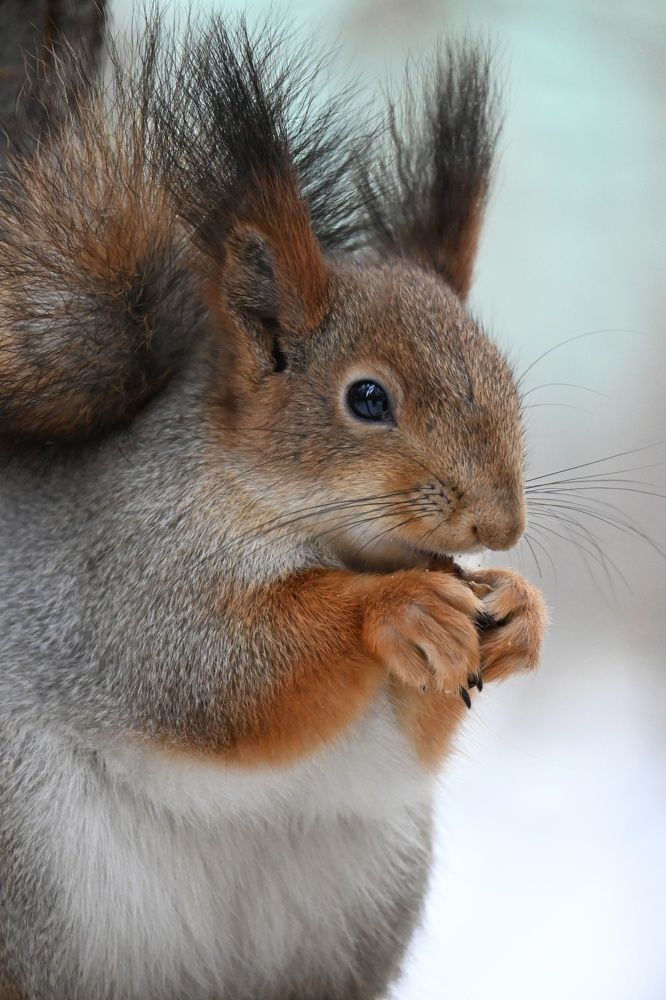 Фотография автора Ola La