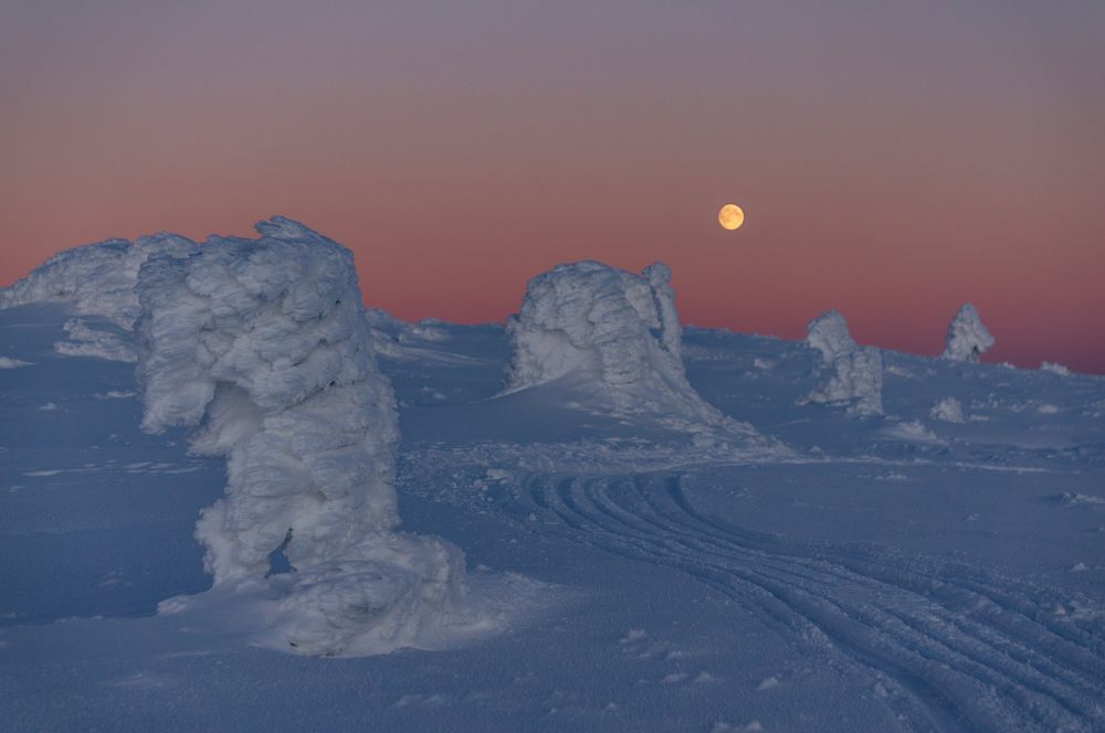 Photograph by Ирина Вершинина